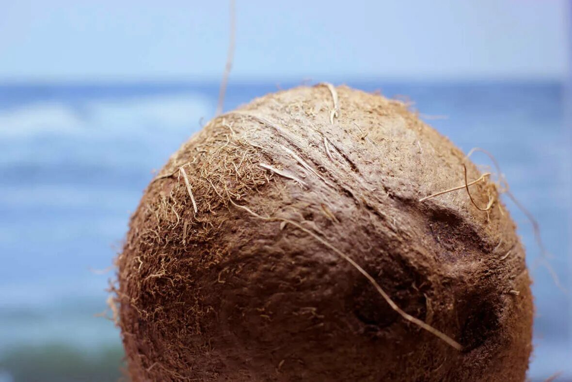 половина кокоса. кокос крупно. кокос круглый. кокос. розовый кокос.