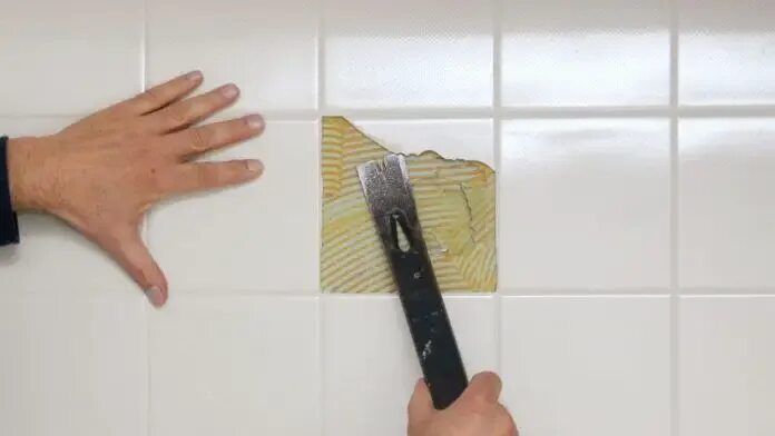 33 Best House Cleaning Tips For A Well-Kept Home Clean house, House cleaning tip