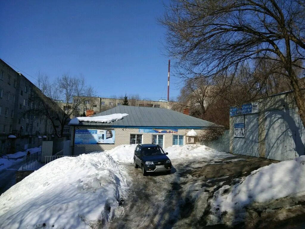 саратовская область сббж. гбу ск сббж. огу татищевская райсббж. саратов ветклиника заводской огородная. энгельсская сббж.