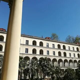 Волна хоста