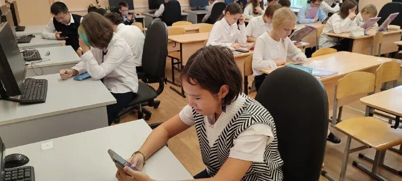 электронная школа. школьная электронная школа. реш росийская электронная школа. российская школа электронная школа. электронная школа.