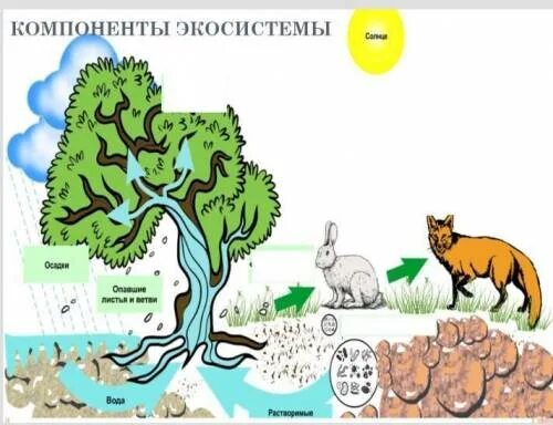 Уникальная экосистема