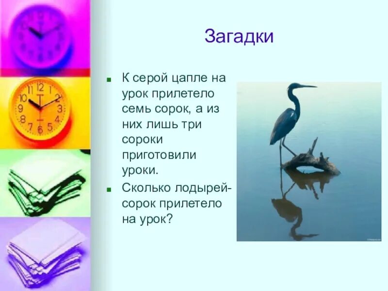К серой цапле на урок. Сороки на кустах. Прилетела 40. Прилетела 40. Сороки предупреждают жителей леса о лесных опасностях.