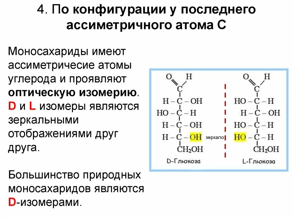 Оптические изомеры моносахаридов. Оптическая активность моносахаридов. Моносахариды с 5 атомами углерода. Оптическая изомерия Глюкозы.