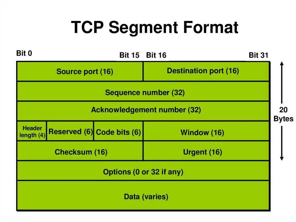 Протокол TCP/IP. Протокол интернета TCP IP. Стеки TCP/IP. TCP сегмент. Ip messaging