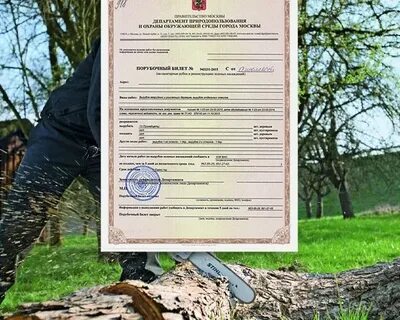 Разрешение на вырубку деревьев