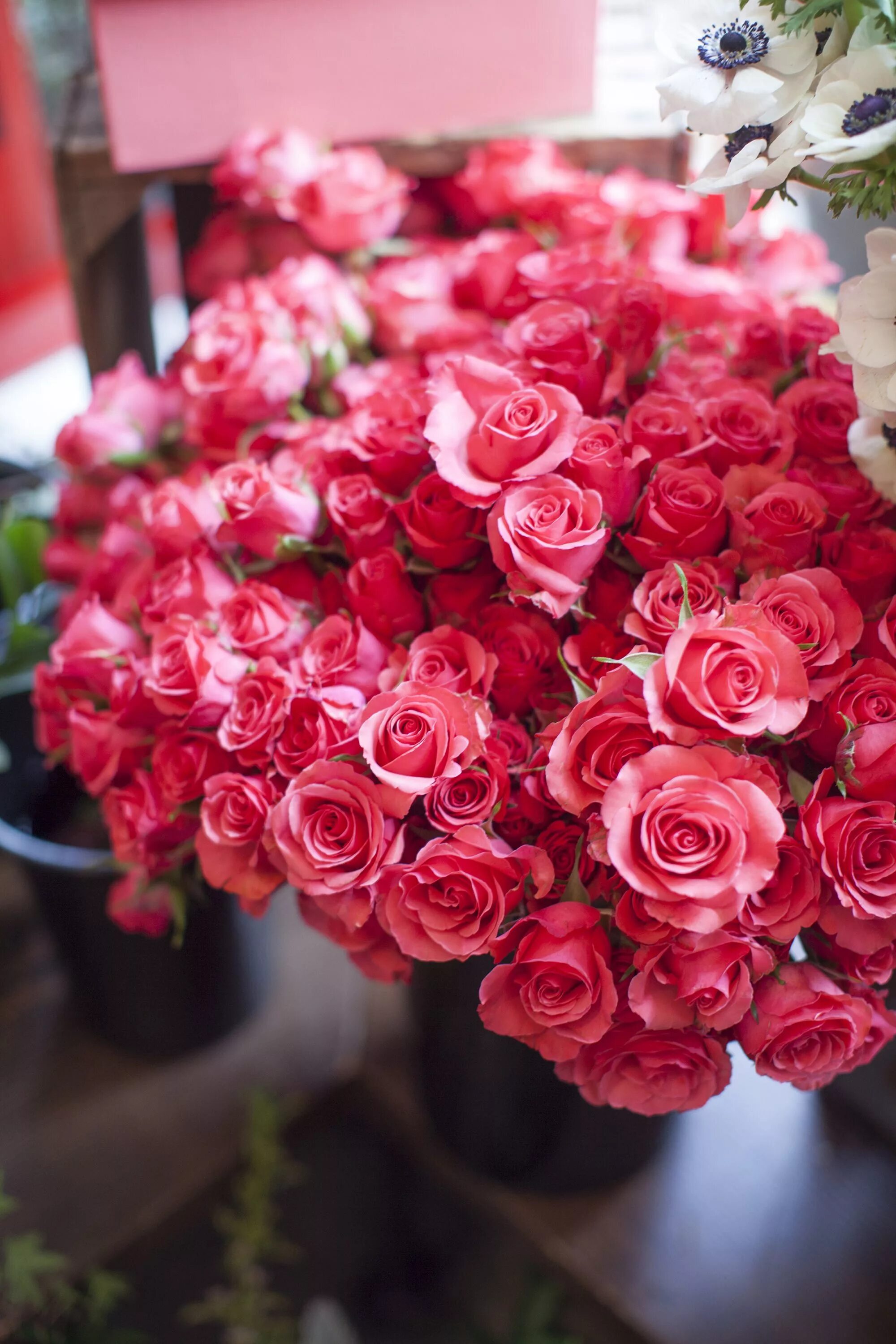 Желанное сбудется. Роскошные цветы. Букет шикарный. Роскошные розы. Цветы для роскошной женщины.