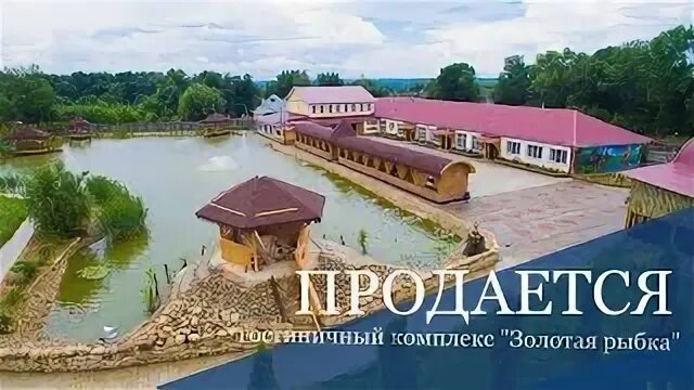 Золотая рыбка липецкая область
