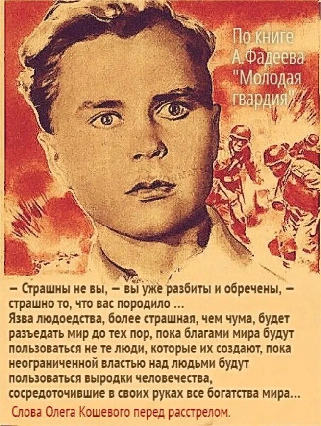Цитаты кошевого