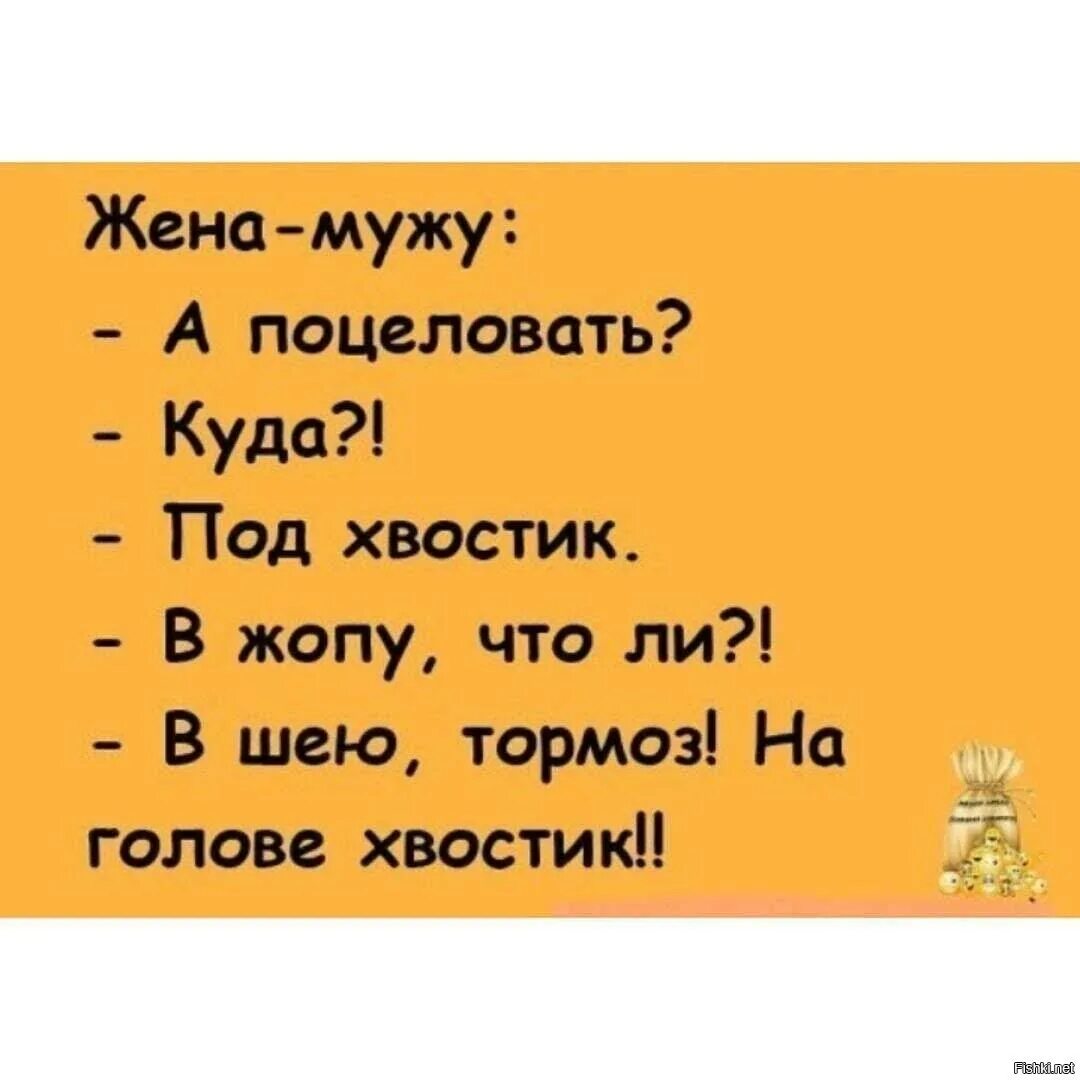 Анекдот про поцелуй. Анекдоты про мужа и жену. Анекдоты про мужа и жену смешные. Поцелуй меня под хвостик анекдот. Жена забыла про мужа