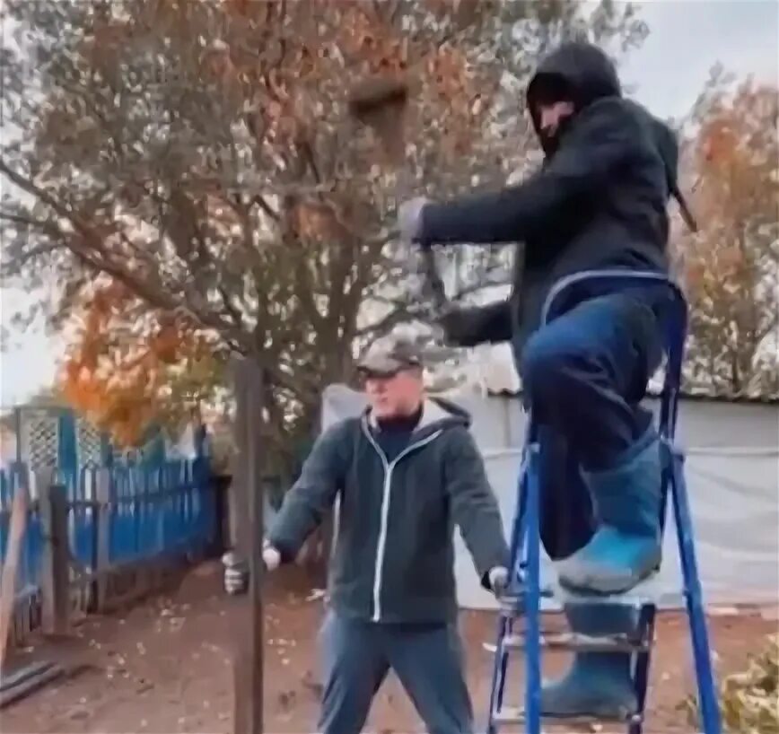 Что такое саечка за испуг. Что такое саечка за испуг