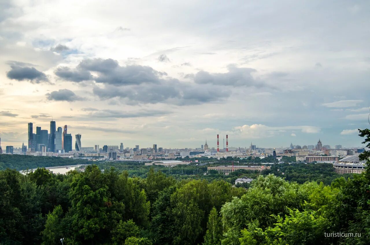 мгу ленинский проспект. большое горе в москве. воробьёвы горы москва. мгу воробьевы горы. москва высотка мгу.