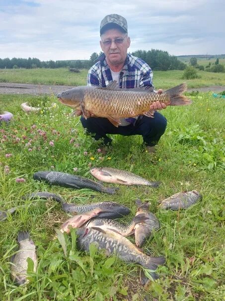 способы передвижения рыб. карп сазан карась. информация о карпе. рассказ о рыбе. карп 7 класс.