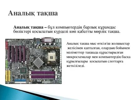 Шәуеттегі үлкен созылған письки