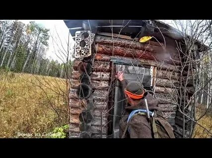 Таежные приключения новые видео