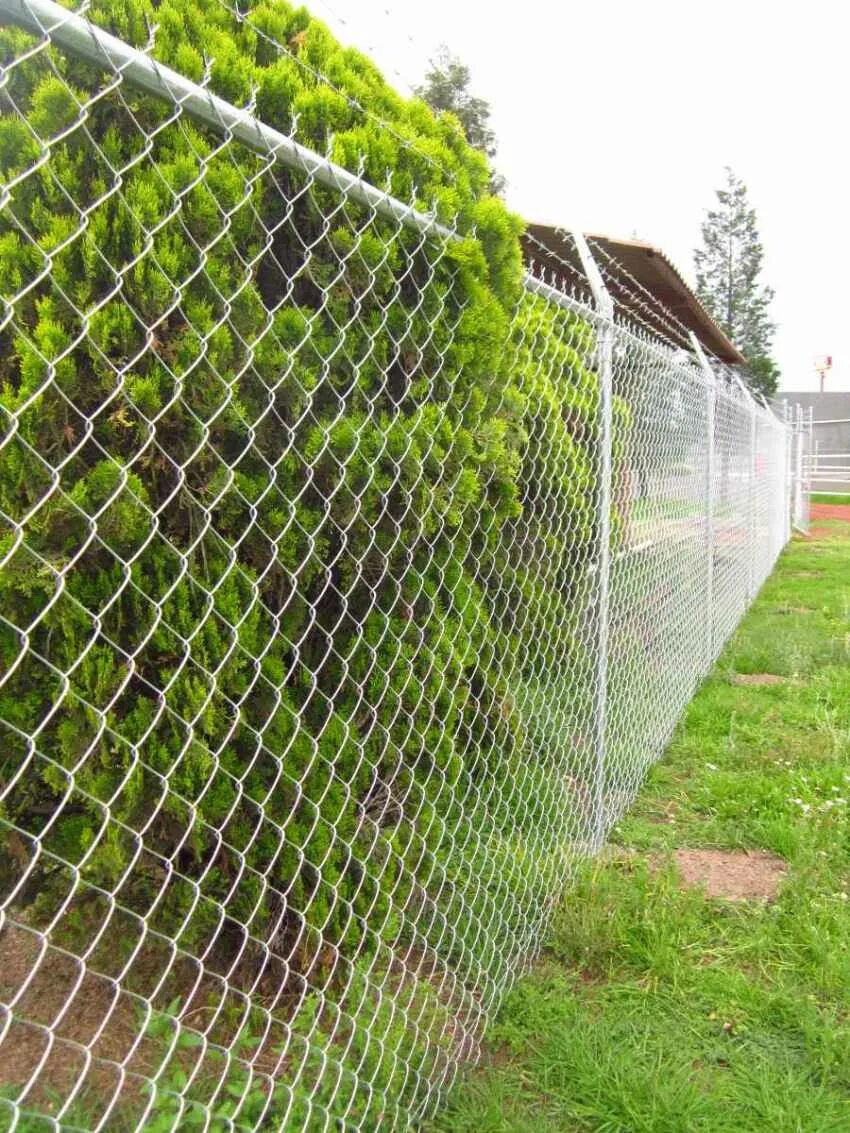 Сетка рябица или рабица. Какая бывает сетка. Забор из сварной сетки. Какого диаметра сетка для кирпичной кладки. 2.