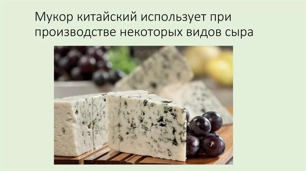 Сыр с плесенью кроссворд. Сыр с плесенью. сыр с плесенью название. вкус сыра с плесенью. сыр с плесенью вкус.