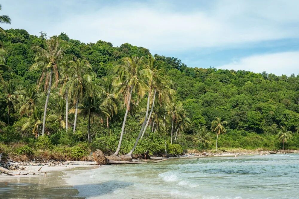 Пляж фукуока bai sao. Остров фукуок пляж бай сао. Бай сао пляж. Sao beach фукуок. Сао фукуок.