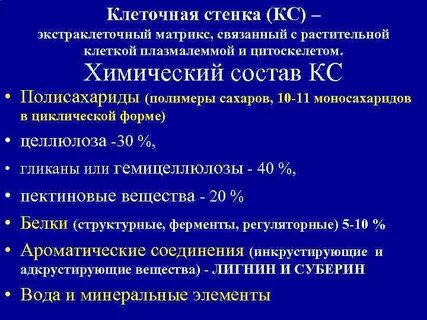 Клеточная стенка состав