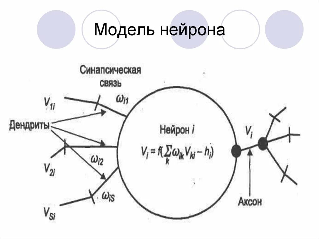 Моделирование нейрона. Математическая модель нейрона. модель нейрона в нейронной сети. макет нейрона. математическая модель нейрона формула.