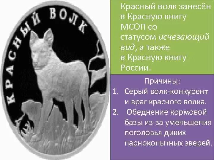 Звери красной книги. Красная книга животных лесной зоны. Животные из красной книги красный волк. Животные из красной книги. Волк красная книга.