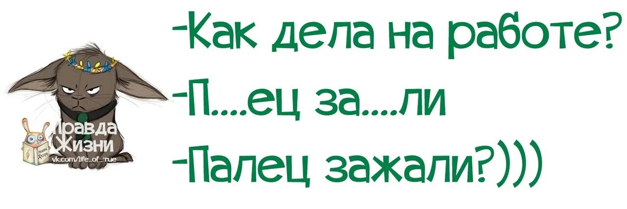 Среда тоже. Приколы про среду и работу. Смешные фразы про среду и работу. Среда на работе смешные. Шутки про среду и работу.