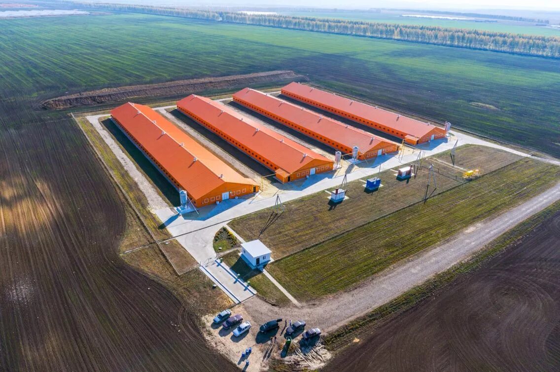 Генеральный план тепличного комплекса 5 га. Агропромышленный комплекс. Сельскохозяйственное предприятие. Кубанский свиноводческий комплекс. Эконива калужская нива.