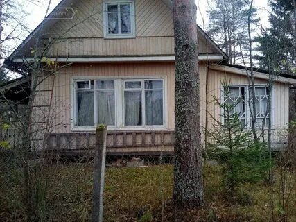 Ленинградская область 41к 313 30