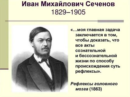 Открытия сеченова кратко
