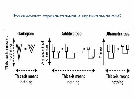 Что значит горизонтально