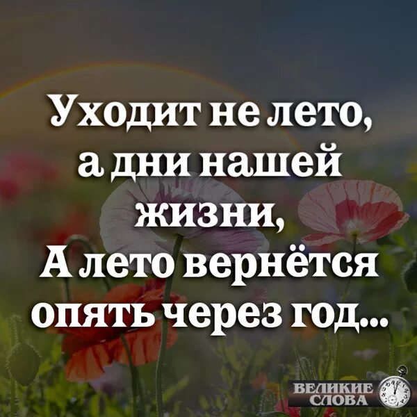 Жизнь проходит на работе. Цитаты про уходящее лето. Цитаты об уходящем лете. Цитаты об ушедшем лете. Лето уходит цитаты.