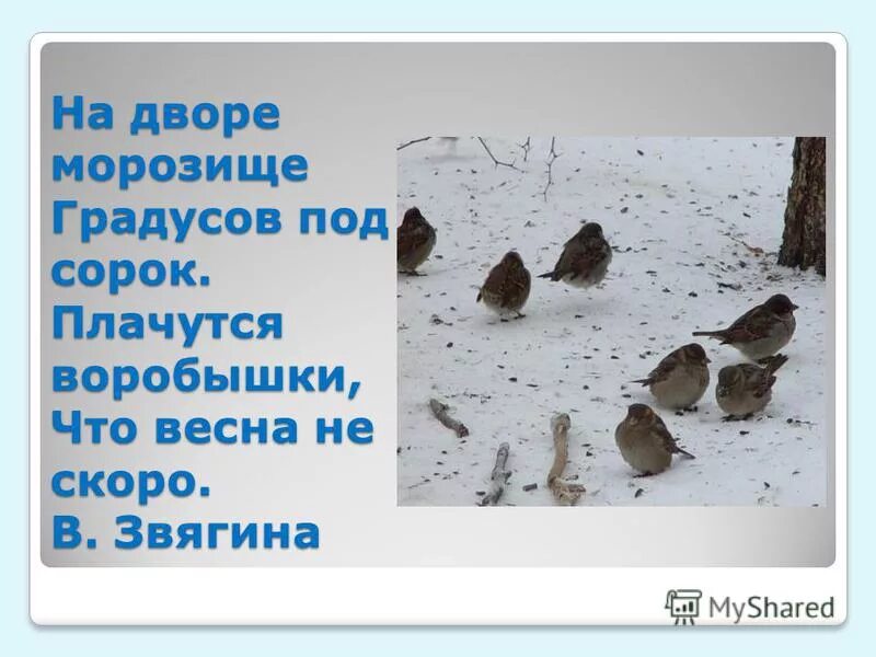 Звягина воробей. 40 градусов под простыней. Градусник с температурой 40. Звягин воробышки воробышки. Под сорок градусов.
