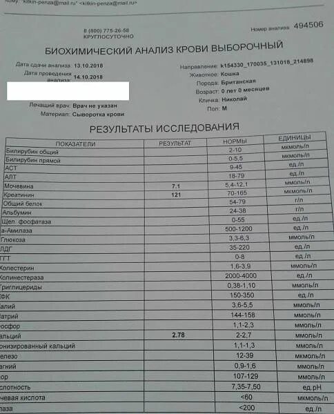Норма анализа амилазы. Норма анализа амилазы. Амилаза панкреатическая норма. Альфа-амилаза норма у женщин по возрасту таблица. Анализ панкреатическая амилаза в норме.