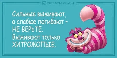 Прикол для поднятия настроения утром