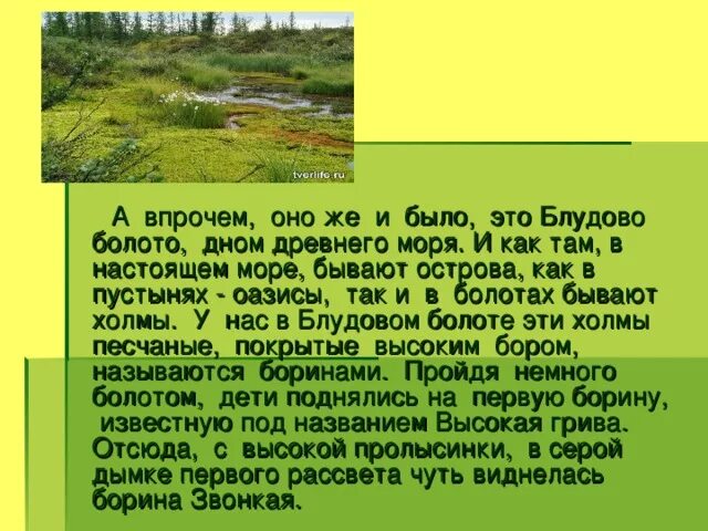 Блудово болото содержит огромные запасы горючего ответы. Блудово болото слепая Елань. Блудово болото пришвин. Блудово болото кладовая солнца. Блудово болото Переславль Залесский.