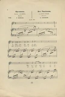 Песню во поле орешина