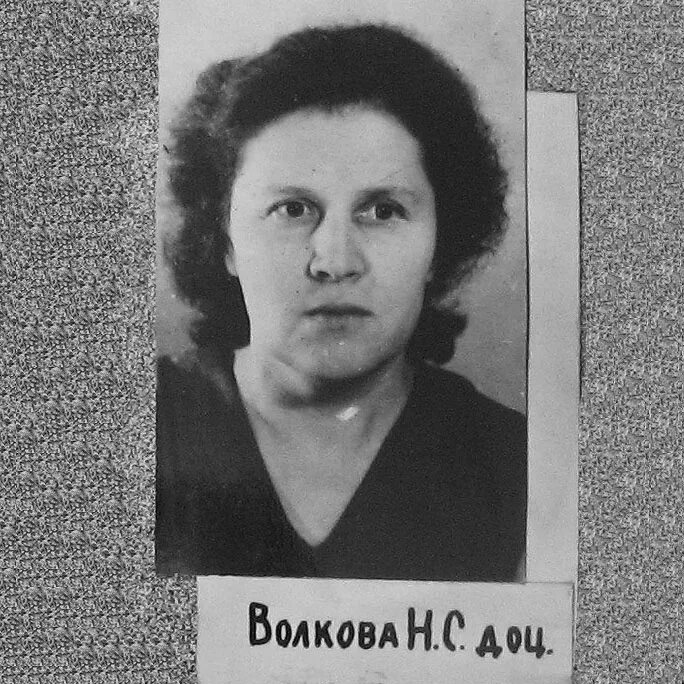 Волкова н п