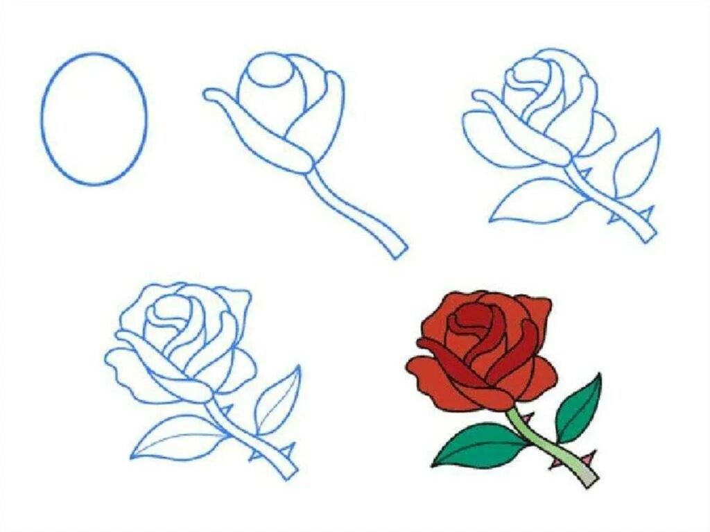 Поэтапное рисование розы карандашом. Роза рисунок пошагово. Роза рисунок пошагово. Как нарисовать рожь поэтапно. Покажи как рисовать розу.