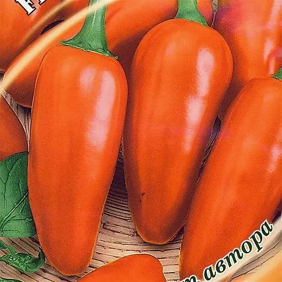 Перец сладкий лисичка f1. Перец лисичка характеристика и описание сорта. Перец лисичка красная. Перец лисичка характеристика и описание сорта. Сорт перца лисичка красная.