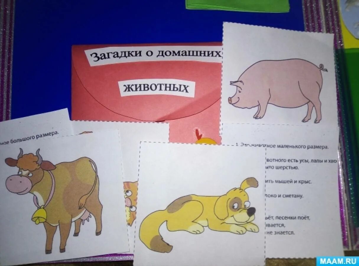 Лэпбук мир животных. Лэпбук домашние животные для дошкольников.