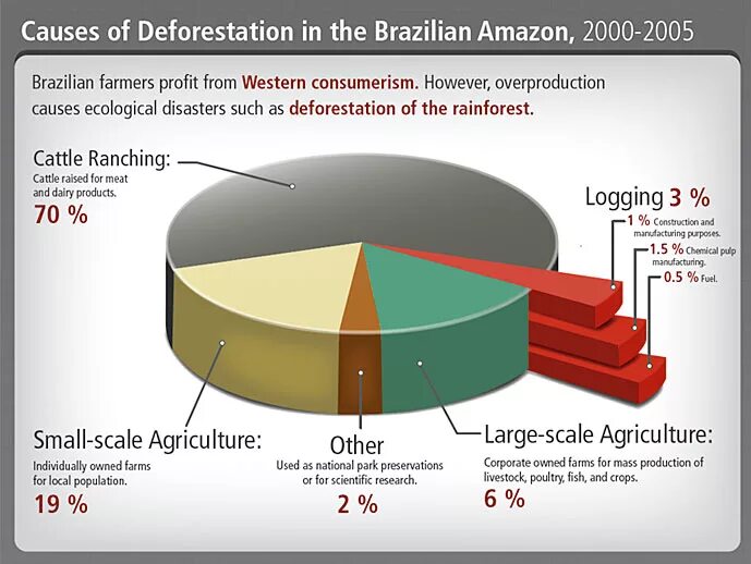 How to solve the problem of deforestation. Deforestation statistics in the world. Causes of deforestation. How to solve the problem of deforestation. Causes of deforestation.