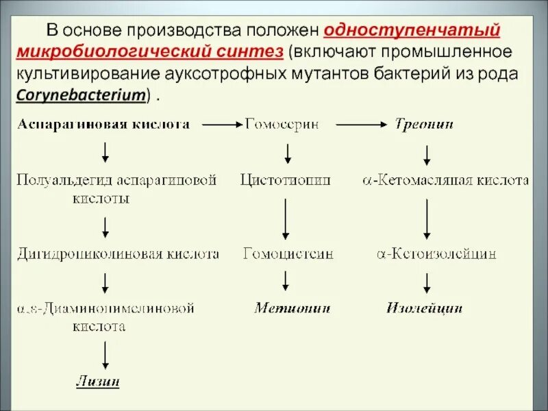 Микробиологический Синтез. Выявление ауксотрофных мутантов. Типы мутантов у бактерий. Микробиологический Синтез схема.