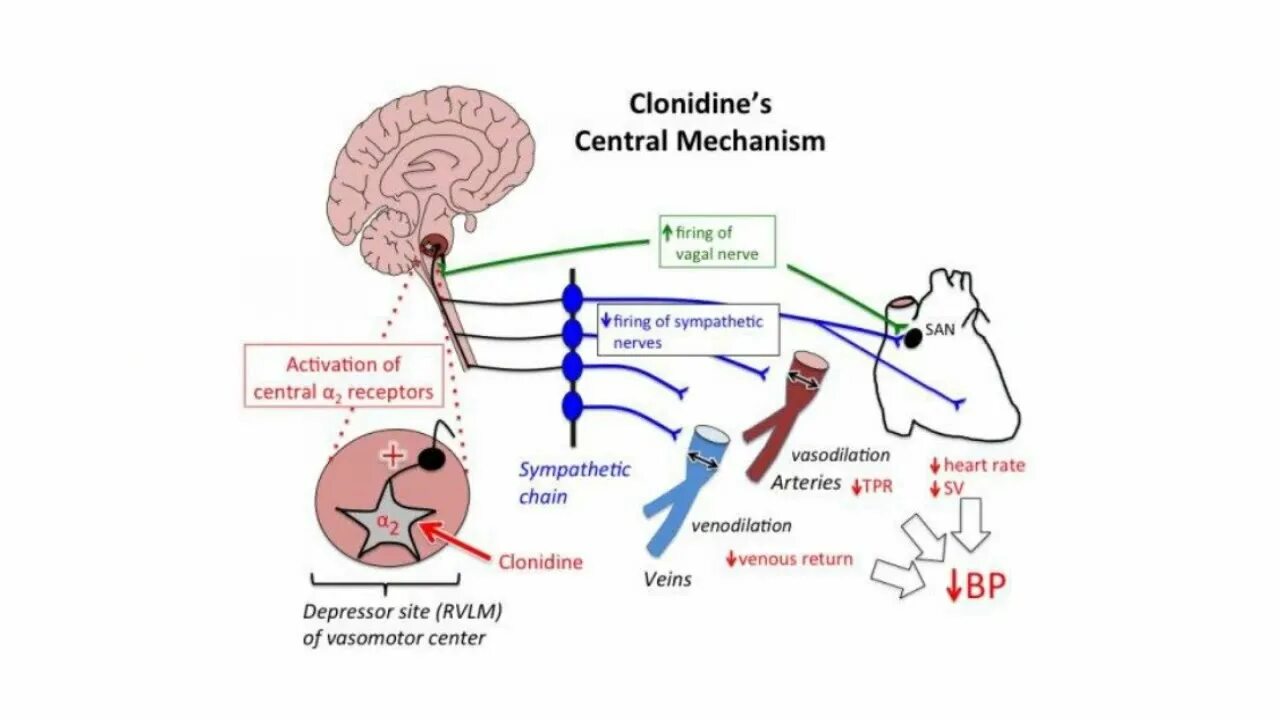 As a mechanism