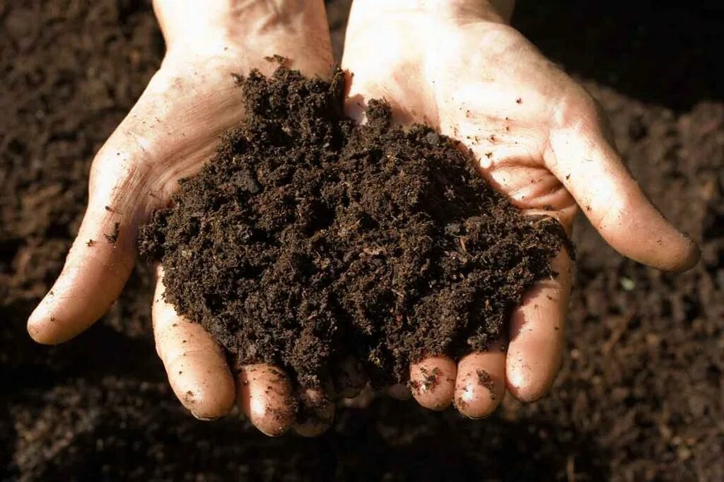 Земля это какой грунт. Почва. Плодородная почва. Земля почва. Грунт (почва).