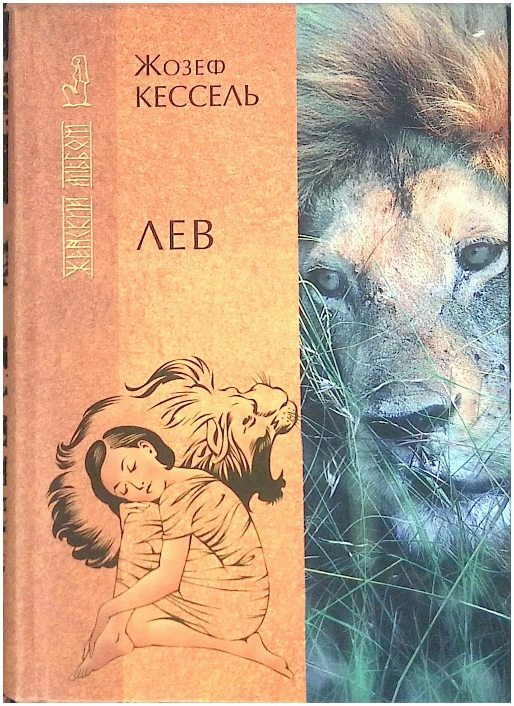 Книга со львом. Кессель Жозеф Лев книга. Книги о львах. Обложка Лев. Книга со львом на обложке.