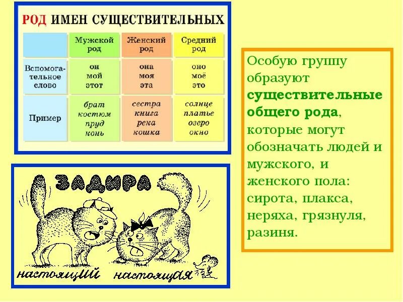 Какого либо рода. Существительное общего рода примеры. что такое общий род существительного. общий род имен существительных. имена общего рода примеры.