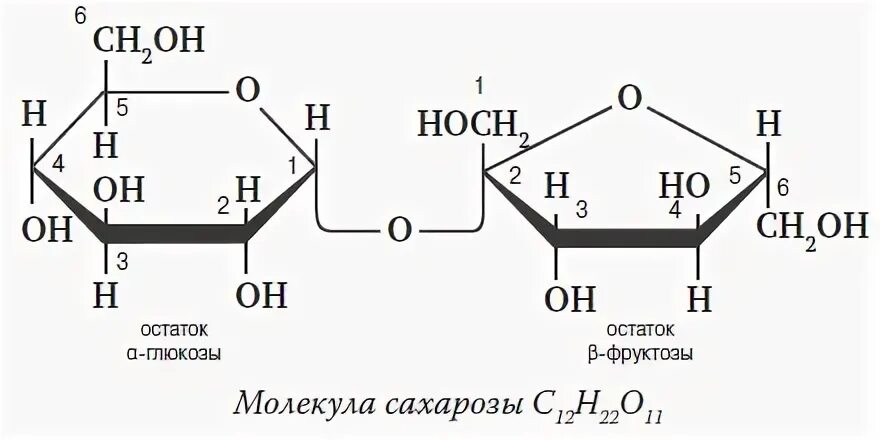 Малина Глюкоза или фруктоза.