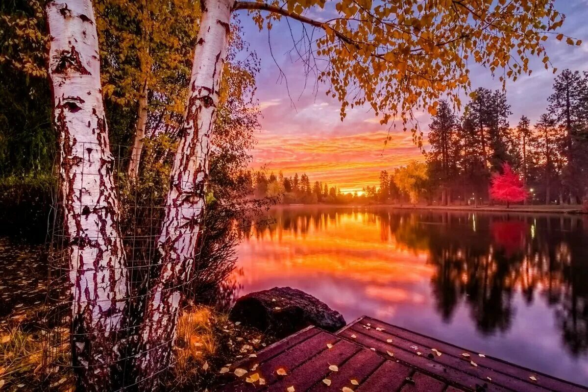 Перед вечерней зарей дрозды поют особенно красиво. Даррелл Буш осенний закат. Закат на озере. Природа вечер. Осень озеро.