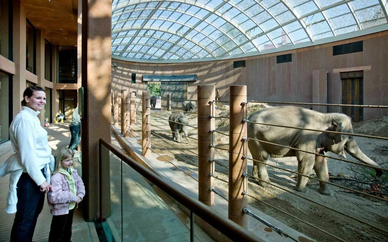 Elephant house. Вольеры в зоопарке. Современный зоопарк. Крытый зоопарк.