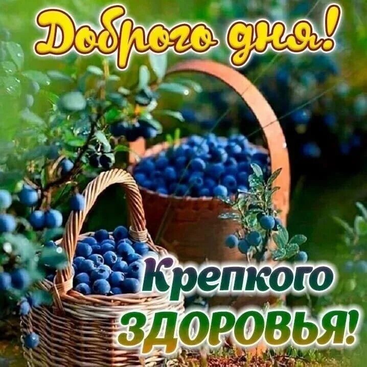 Доброго благословенного летнего дня. Открытки с добрым утром. доброе августовское утро. доброго августовского дня.